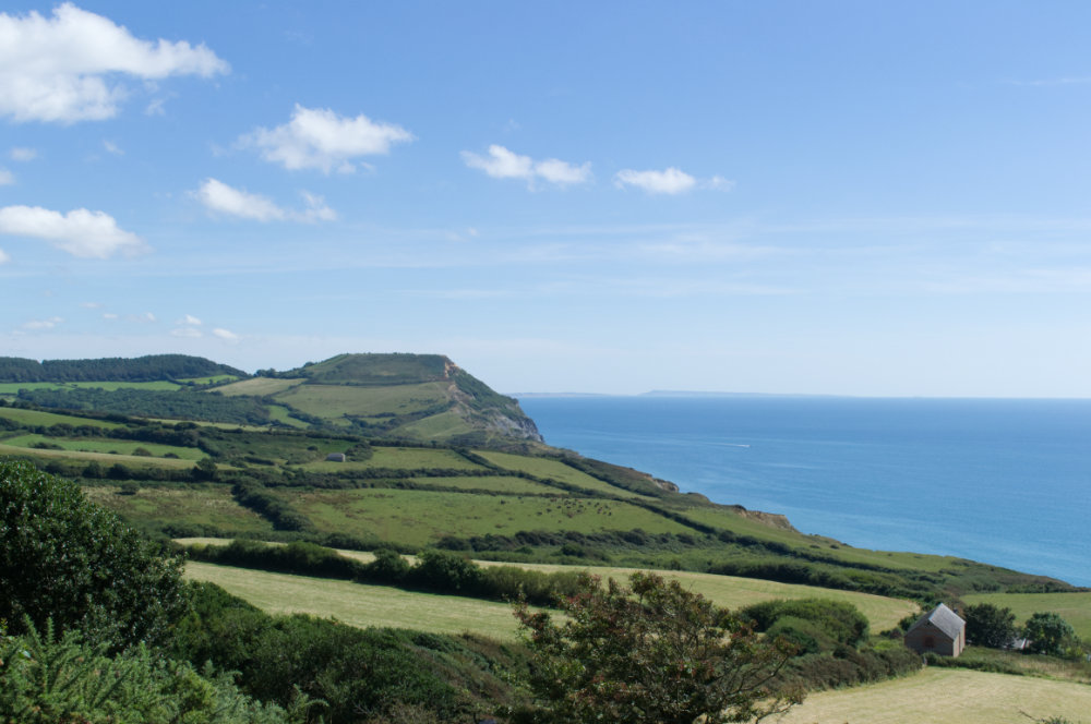 View across green fields toward Golden Cap hill.