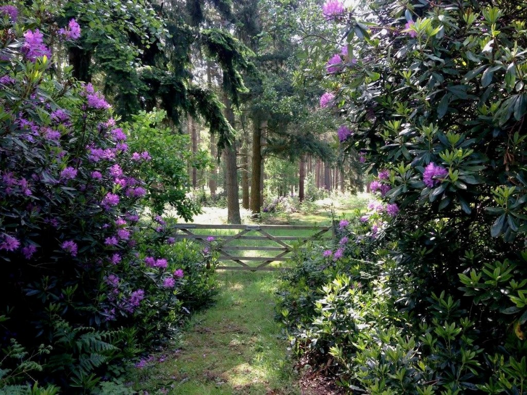 Sandringham in Norfolk