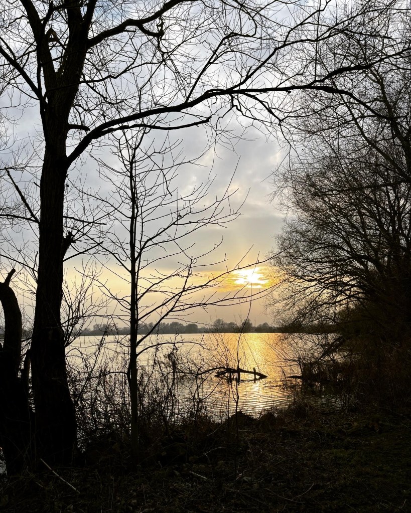 View of a lake near sunset with trees in silhouette.