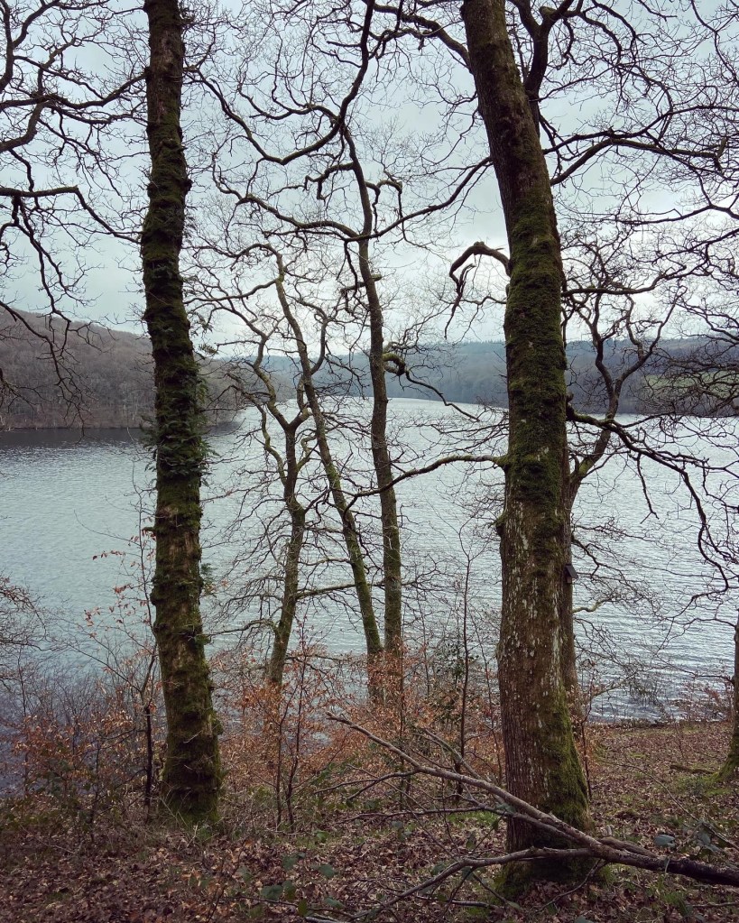 Trees in the foreground with Wimbleball Lake behind.