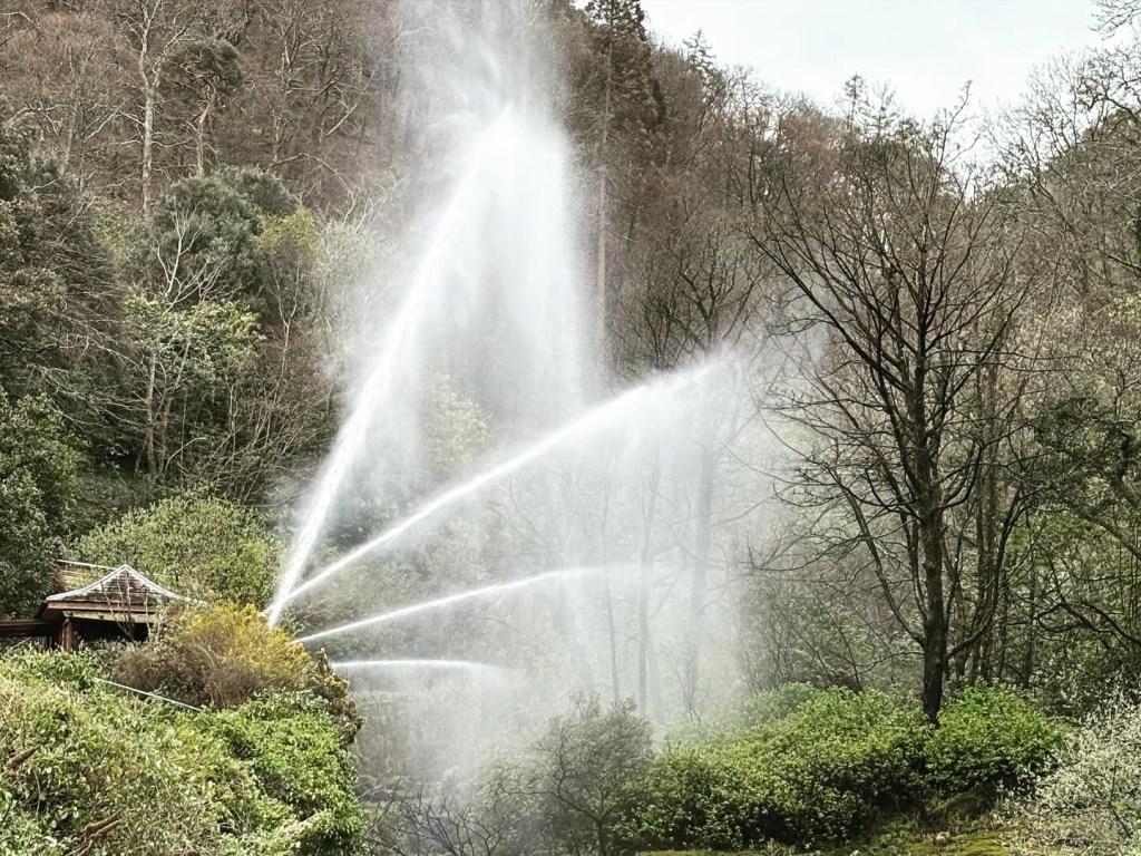 Water jets shooting across trees and shrubs in the Lyn Valley.